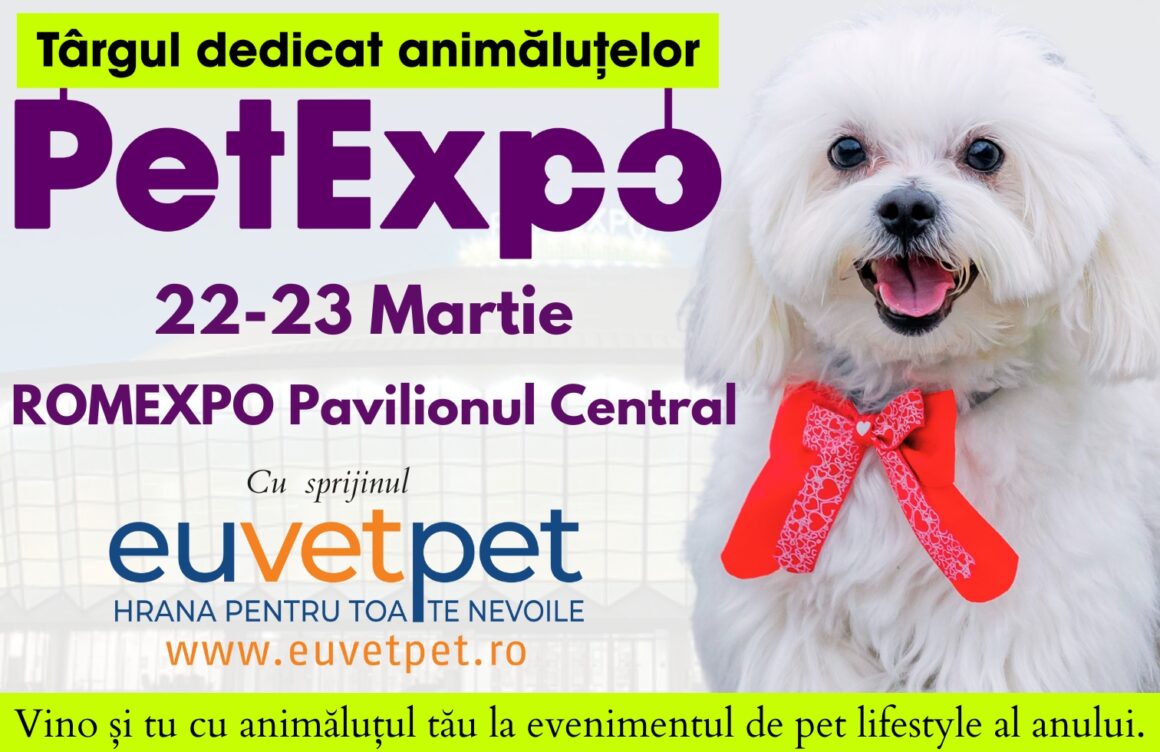 Petexpo 2025: productos inteligentes, sesiones de fotos gratuitas y competiciones con mascotas para mascotas, este fin de semana en Romexpo