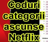 Códigos con categorías ocultas en Netflix